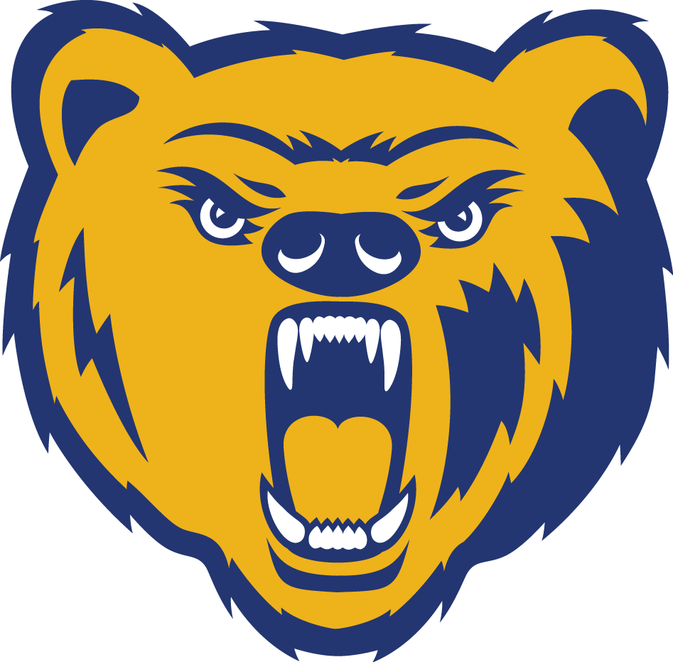 Northern Colorado Bears 2010-2014 Primary Logo iron on transfers for T-shirts